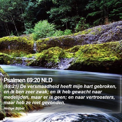 Psalmen 69:20 NLD Bible Verse Image