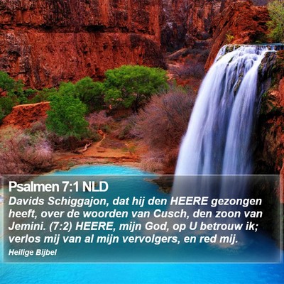 Psalmen 7:1 NLD Bible Verse Image