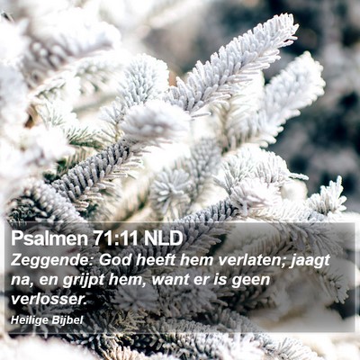Psalmen 71:11 NLD Bible Verse Image