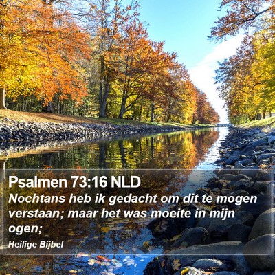 Psalmen 73:16 NLD Bible Verse Image