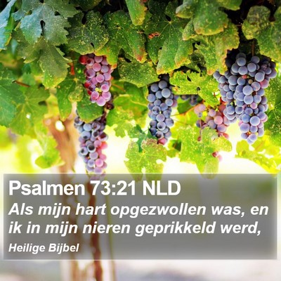 Psalmen 73:21 NLD Bible Verse Image