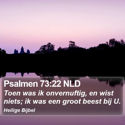 Psalmen 73:22 NLD Bible Verse Image