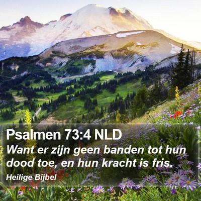 Psalmen 73:4 NLD Bible Verse Image