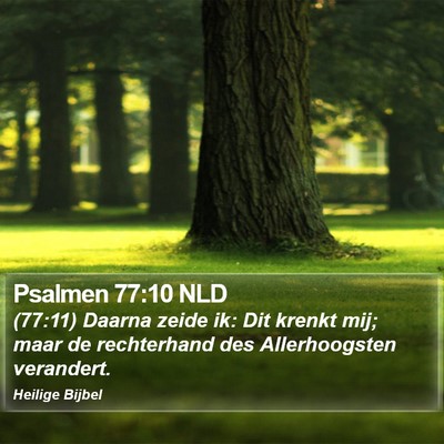 Psalmen 77:10 NLD Bible Verse Image
