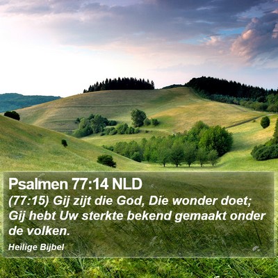 Psalmen 77:14 NLD Bible Verse Image