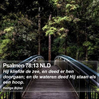 Psalmen 78:13 NLD Bible Verse Image