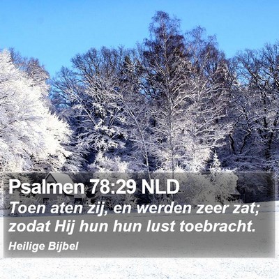 Psalmen 78:29 NLD Bible Verse Image
