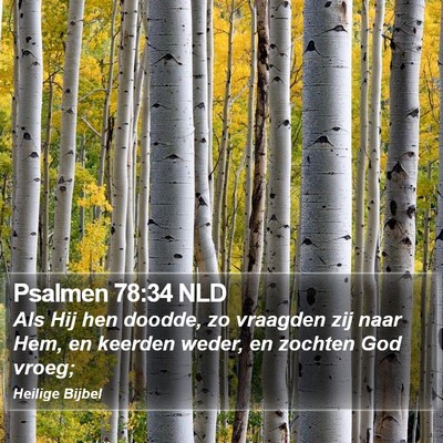 Psalmen 78:34 NLD Bible Verse Image