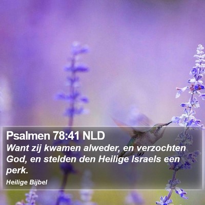 Psalmen 78:41 NLD Bible Verse Image