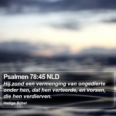 Psalmen 78:45 NLD Bible Verse Image