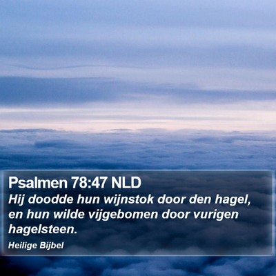 Psalmen 78:47 NLD Bible Verse Image