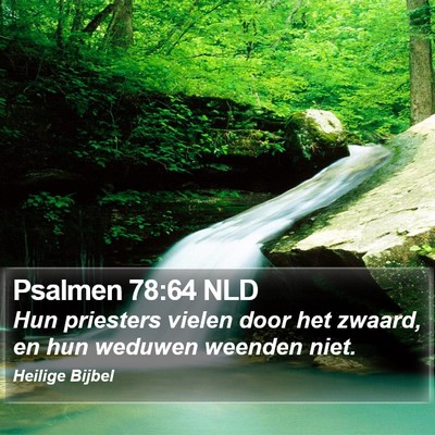 Psalmen 78:64 NLD Bible Verse Image