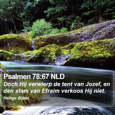 Psalmen 78:67 NLD Bible Verse Image