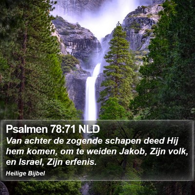 Psalmen 78:71 NLD Bible Verse Image