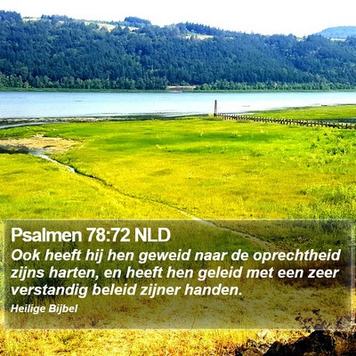 Psalmen 78:72 NLD Bible Verse Image