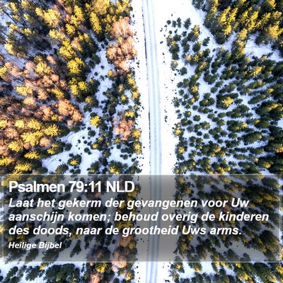 Psalmen 79:11 NLD Bible Verse Image