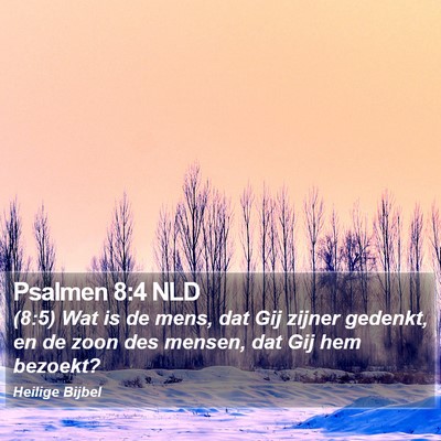 Psalmen 8:4 NLD Bible Verse Image