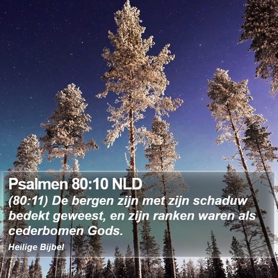 Psalmen 80:10 NLD Bible Verse Image