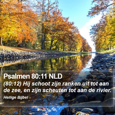 Psalmen 80:11 NLD Bible Verse Image