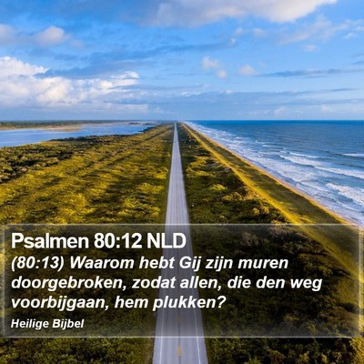 Psalmen 80:12 NLD Bible Verse Image