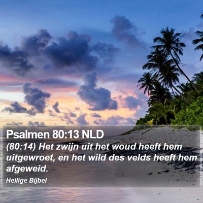 Psalmen 80:13 NLD Bible Verse Image
