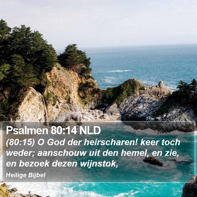 Psalmen 80:14 NLD Bible Verse Image