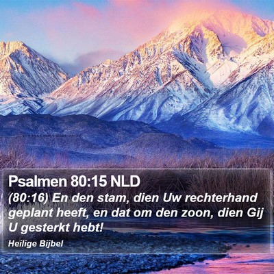 Psalmen 80:15 NLD Bible Verse Image