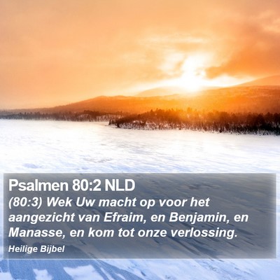 Psalmen 80:2 NLD Bible Verse Image