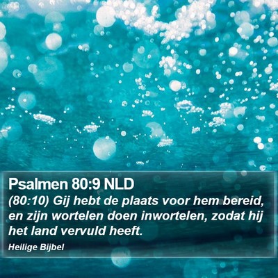 Psalmen 80:9 NLD Bible Verse Image