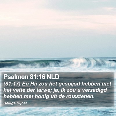 Psalmen 81:16 NLD Bible Verse Image