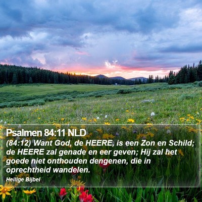 Psalmen 84:11 NLD Bible Verse Image