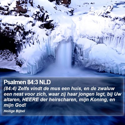 Psalmen 84:3 NLD Bible Verse Image