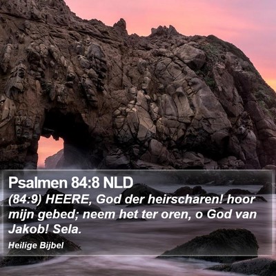 Psalmen 84:8 NLD Bible Verse Image