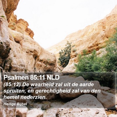 Psalmen 85:11 NLD Bible Verse Image