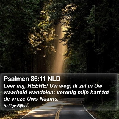 Psalmen 86:11 NLD Bible Verse Image