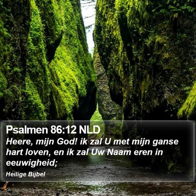 Psalmen 86:12 NLD Bible Verse Image