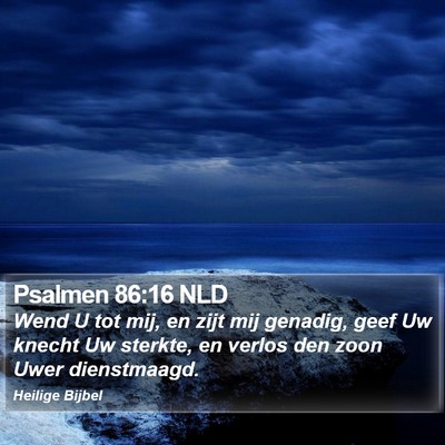Psalmen 86:16 NLD Bible Verse Image
