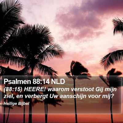 Psalmen 88:14 NLD Bible Verse Image
