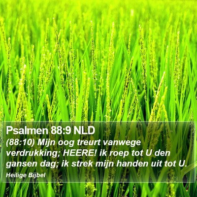 Psalmen 88:9 NLD Bible Verse Image