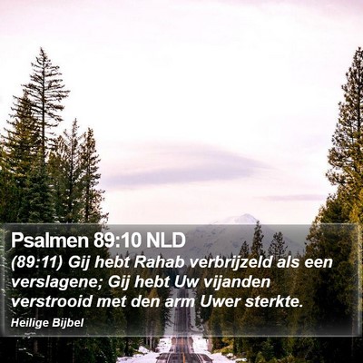 Psalmen 89:10 NLD Bible Verse Image