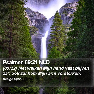 Psalmen 89:21 NLD Bible Verse Image