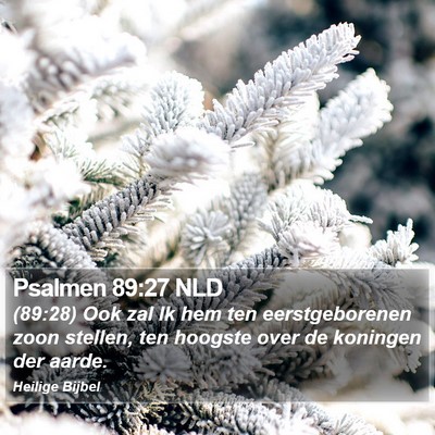 Psalmen 89:27 NLD Bible Verse Image