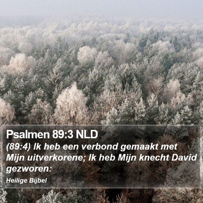 Psalmen 89:3 NLD Bible Verse Image