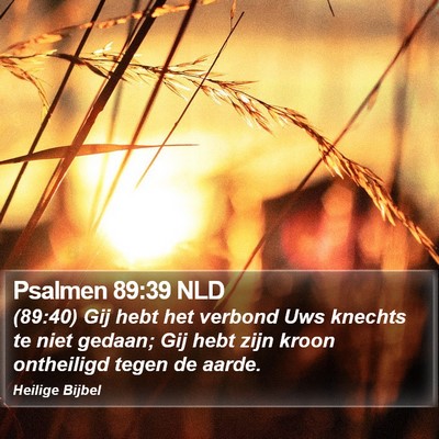 Psalmen 89:39 NLD Bible Verse Image