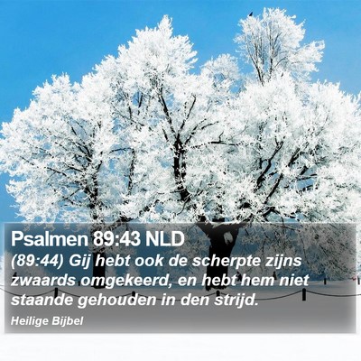 Psalmen 89:43 NLD Bible Verse Image