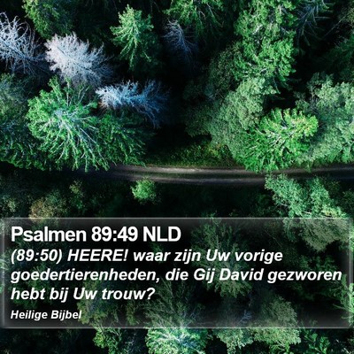 Psalmen 89:49 NLD Bible Verse Image