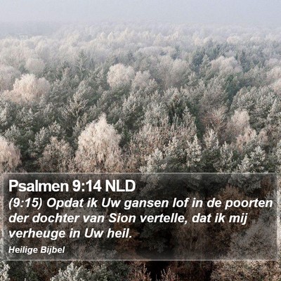 Psalmen 9:14 NLD Bible Verse Image