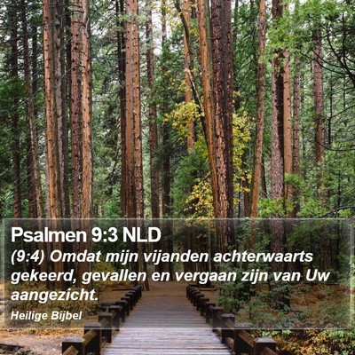 Psalmen 9:3 NLD Bible Verse Image