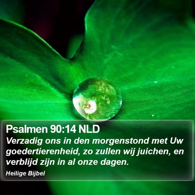 Psalmen 90:14 NLD Bible Verse Image