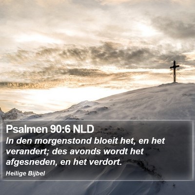 Psalmen 90:6 NLD Bible Verse Image